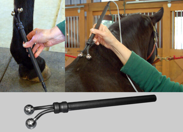 MicroCurrent for Horses Class: Oct 25th & 26th 2025 (10-2025) - Image 3