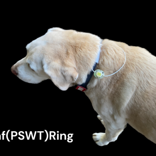 Boost your Geriatric Dogs activity and comfort  with PEMF Ring 