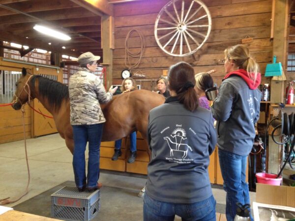 MicroCurrent for Horses Class: Oct 25th & 26th 2025 (10-2025)