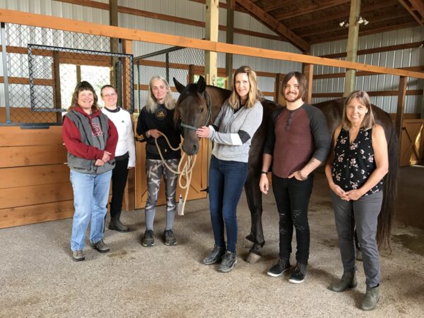 MicroCurrent for Horses Class: Aug 16th & 17th 2025 (082025)