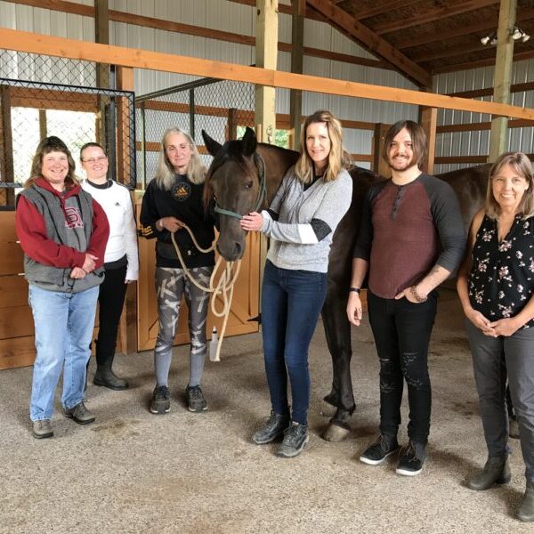 MicroCurrent for Horses Class: Aug 16th & 17th 2025 (082025)